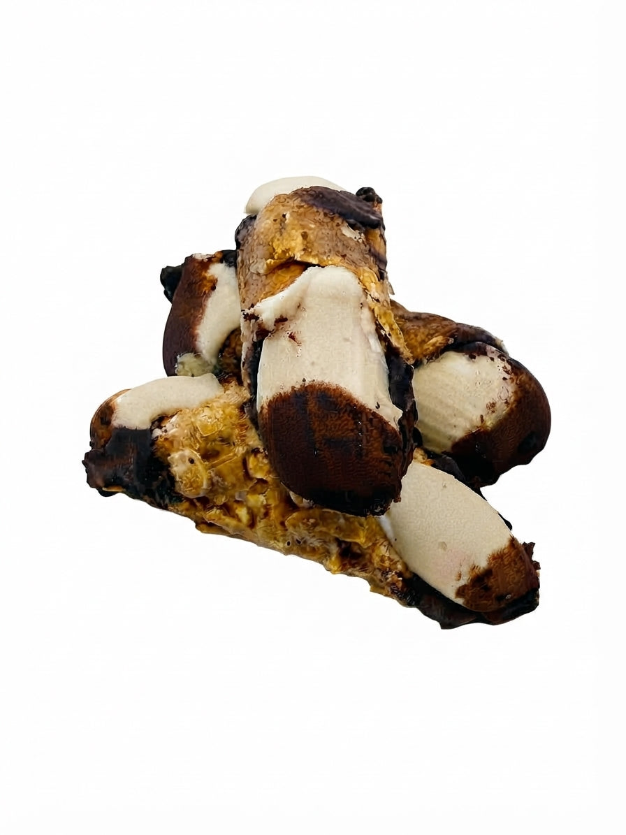 Cannoli - Tiramisu