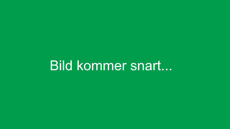 Presentkort