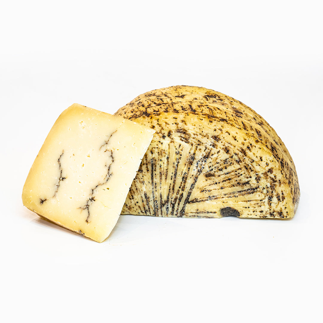 Moliterno al Tartufo