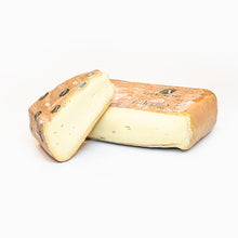 Taleggio