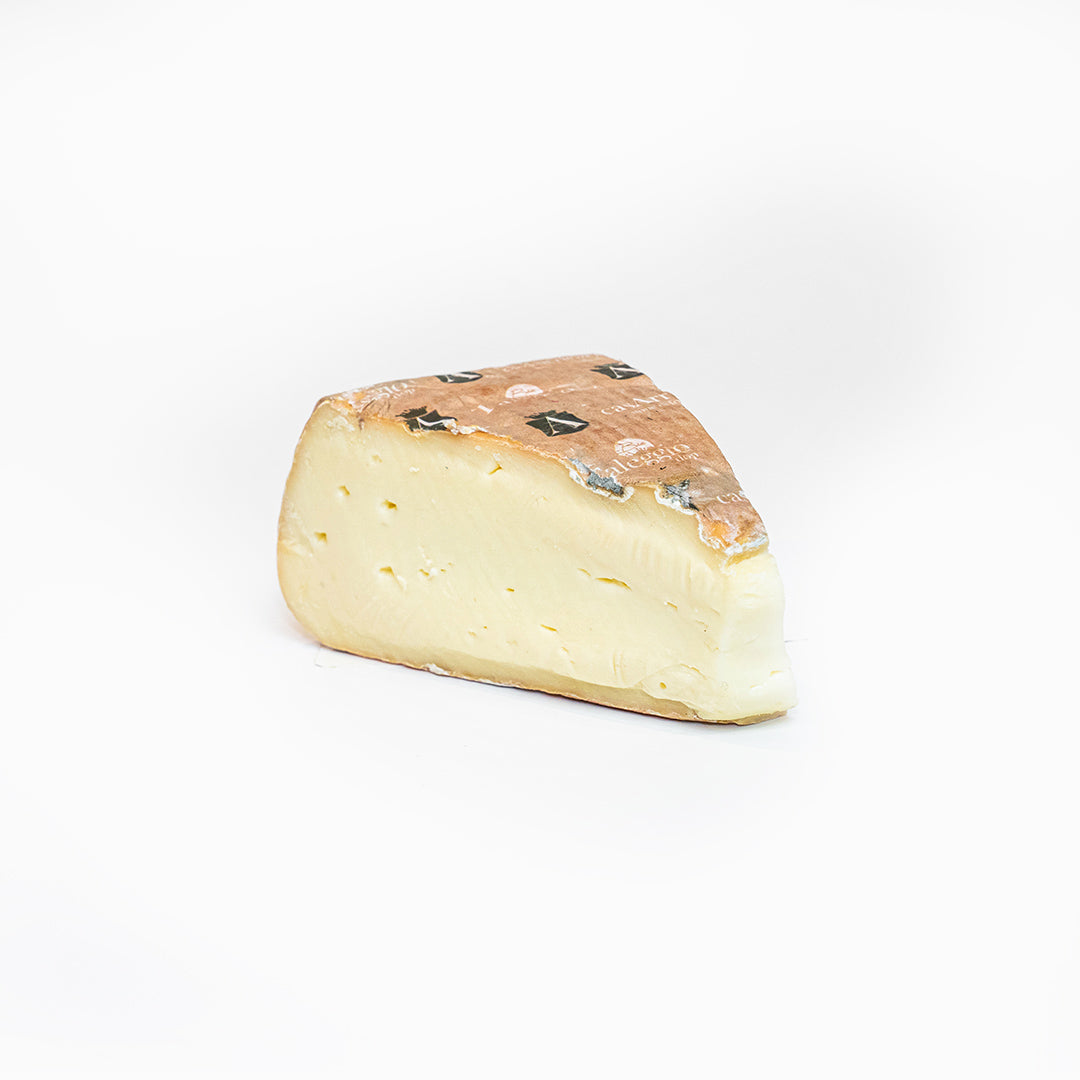 Taleggio