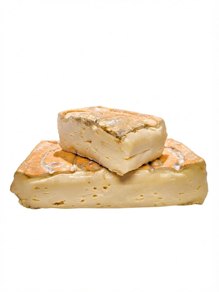Taleggio